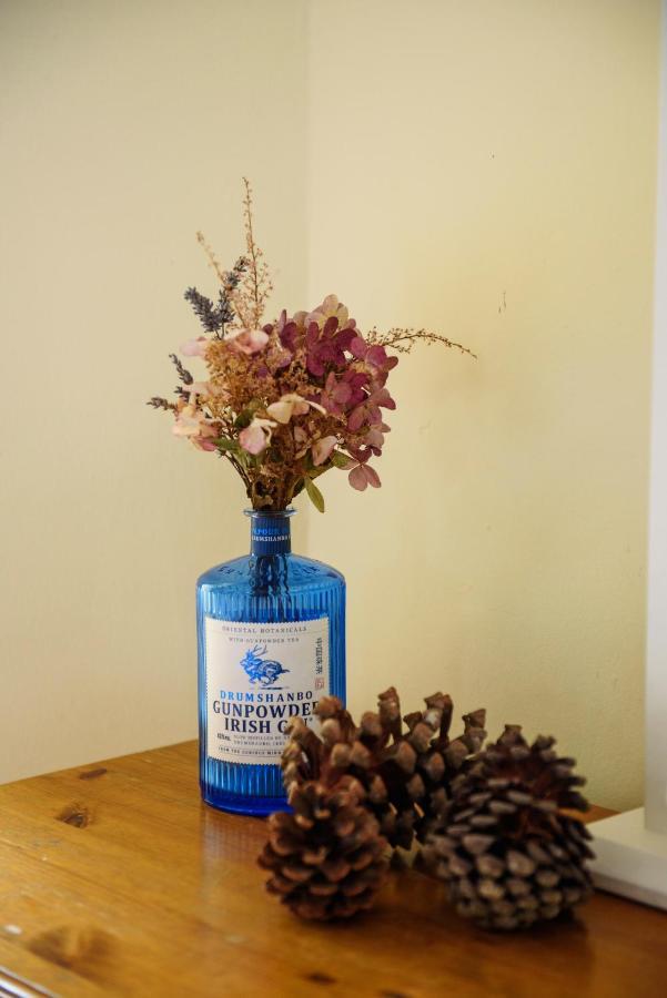Waterfront Self Catering Houses Carrick on Shannon Екстериор снимка