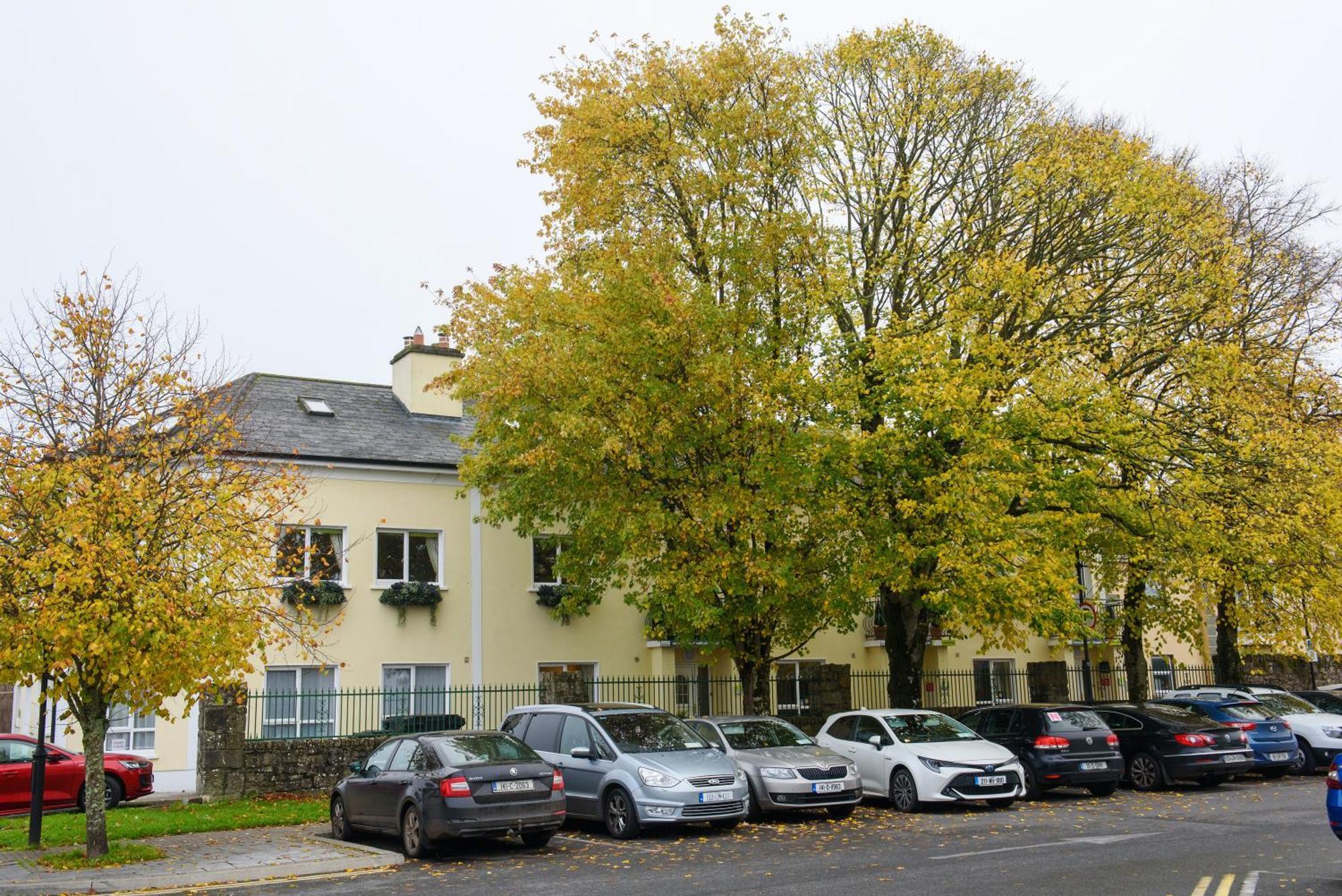 Waterfront Self Catering Houses Carrick on Shannon Екстериор снимка